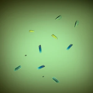 Calibre Scientific | Molecular Dimensions